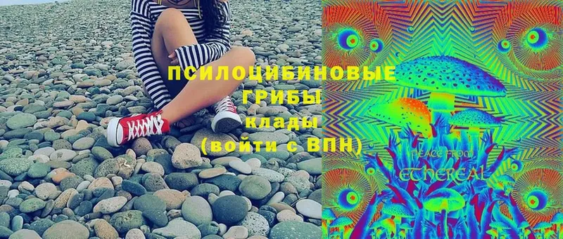 Псилоцибиновые грибы Magic Shrooms  Миллерово 